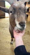 feelbetterinmysweater Altpins Profile Picture