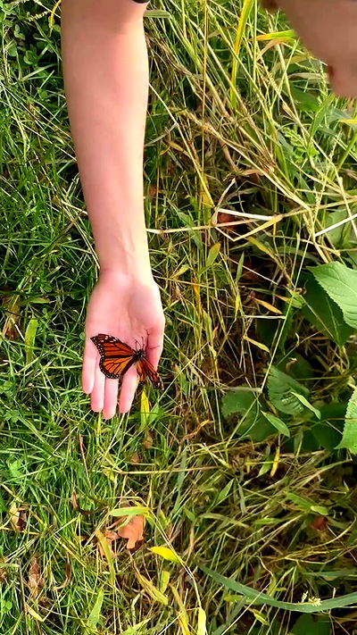 missnyxdawn missnyxdawn archive video