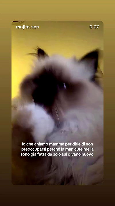 kasumi_sen kasumi_sen archive video