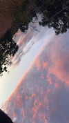 jade699x3 Altpins Profile Picture