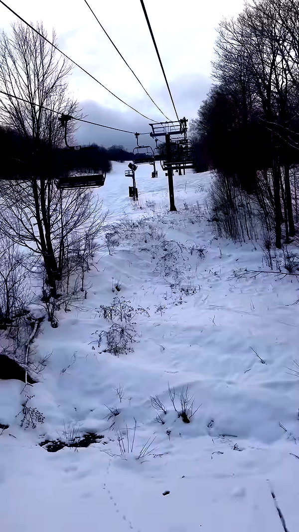 michal_cohen017 archive video preview