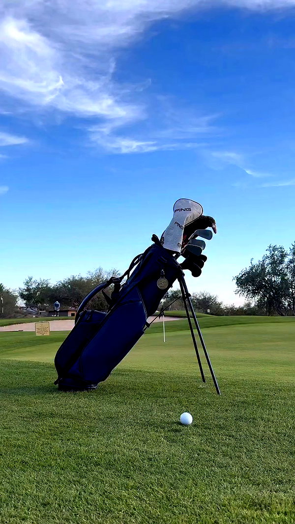 pingtour archive video preview