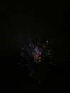 elsgatti Altpins Profile Picture