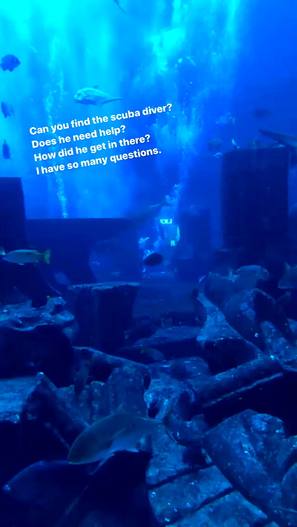 azzyland archive video preview