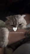 wannabeyourbabygirl Altpins Profile Picture