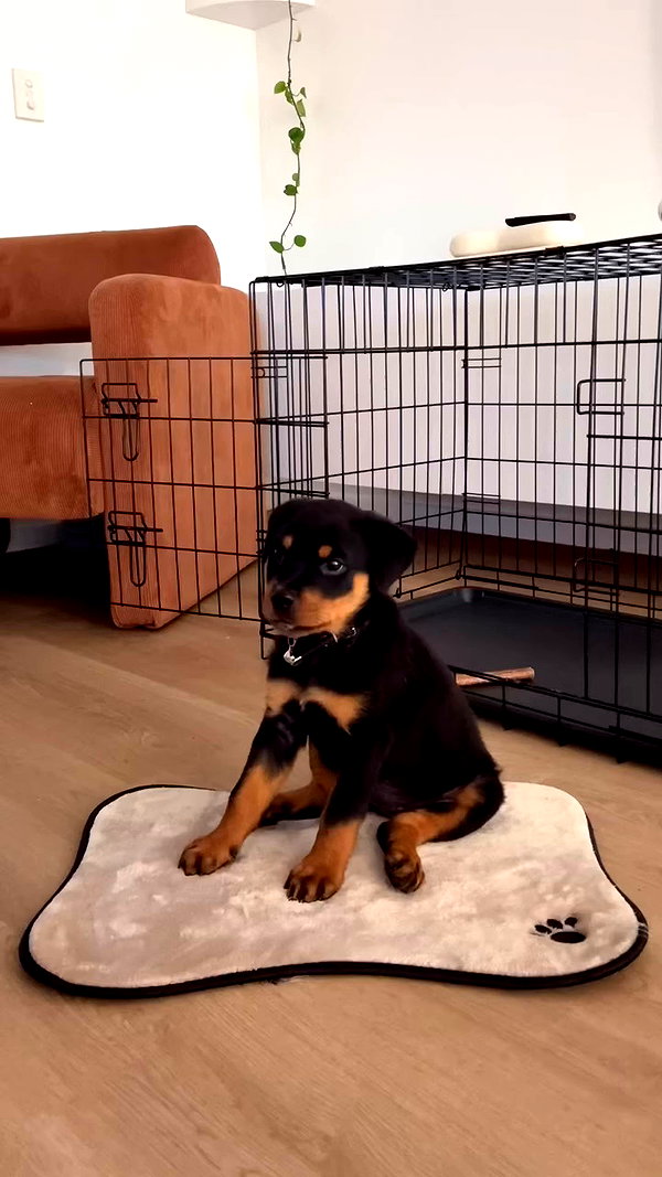 olivia.mathers archive video preview