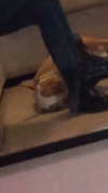 _mashachka_ Altpins Profile Picture