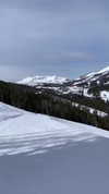 elsgatti Altpins Profile Picture