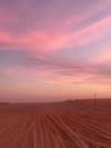seline_paz Altpins Profile Picture