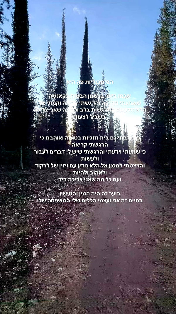 yuval_raz archive video preview