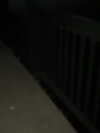 kimberr_0000 Altpins Profile Picture