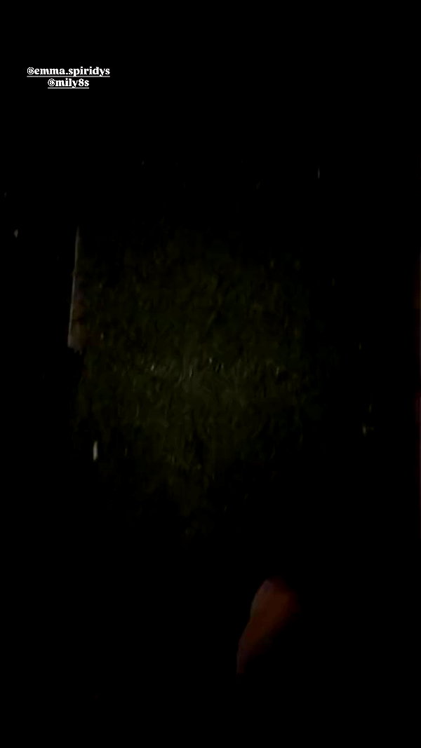 milka_guberman archive video preview