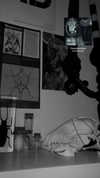 kittenfangsxx Altpins Profile Picture