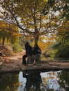 hadas_mayer_ Altpins Profile Picture