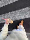alma_ck_ Altpins Profile Picture