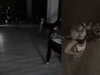 suspiria.em Altpins Profile Picture