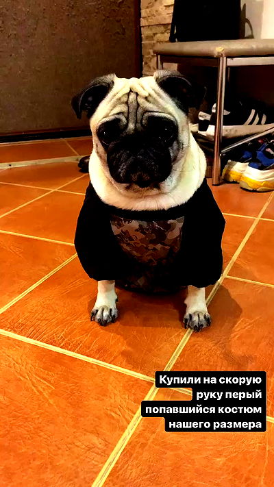 nyityam nyityam archive video