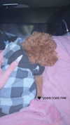 agam._.harel Altpins Profile Picture