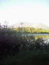 cialikechia Altpins Profile Picture