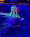 xtina Altpins Profile Picture