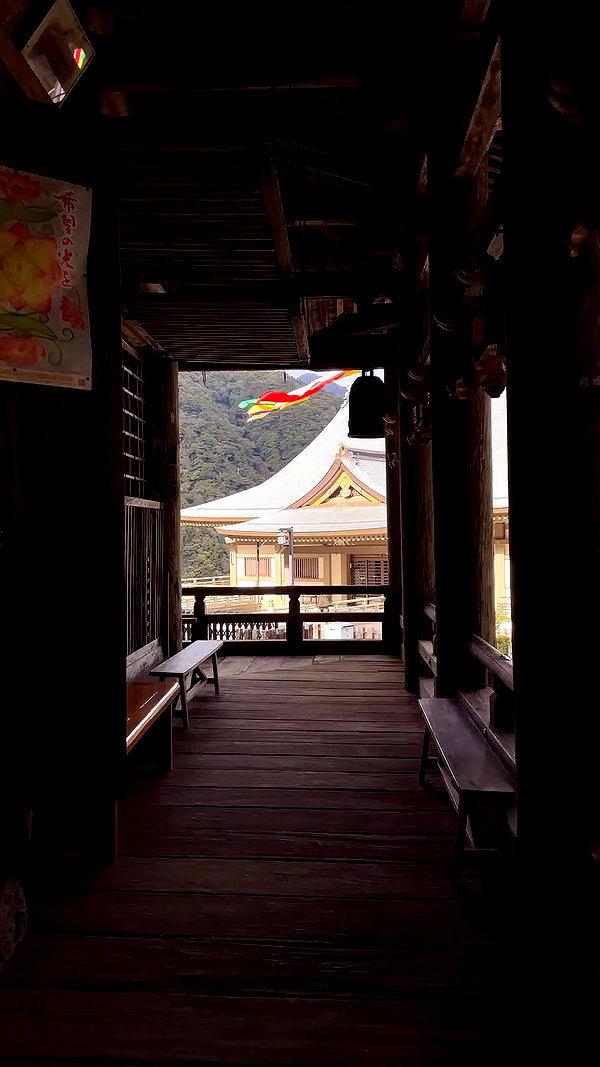 tamagotkri archive video preview