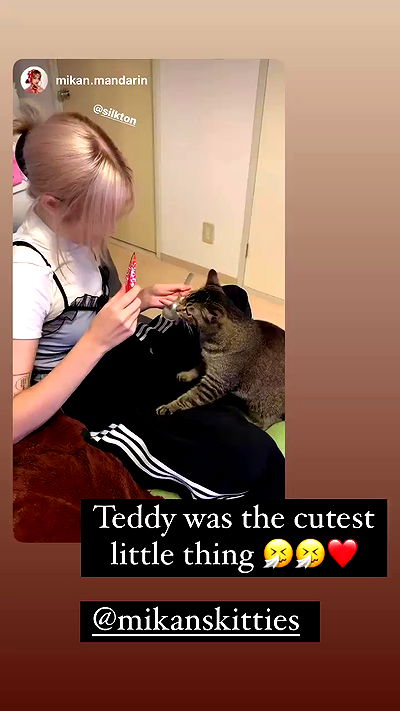 silkton silkton archive video