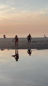 surfsterre Altpins Profile Picture
