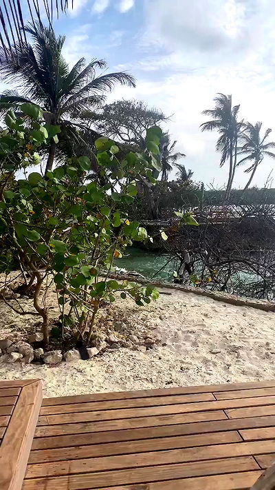 taylor.creeden taylor.creeden archive video