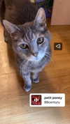 jahia_brown Altpins Profile Picture