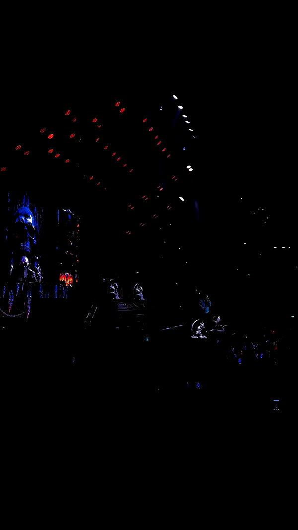 giulia_tosini_ archive video preview
