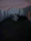 ek3b.chapman Altpins Profile Picture