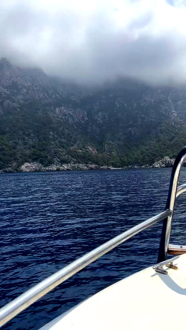 swfx_real archive video preview