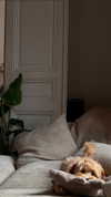 sophiecharlotth Altpins Profile Picture