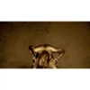 shakira Altpins Profile Picture