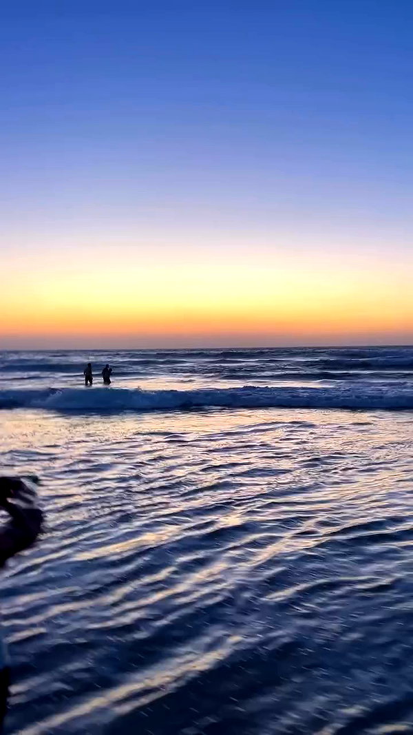 michalcohen___ archive video preview