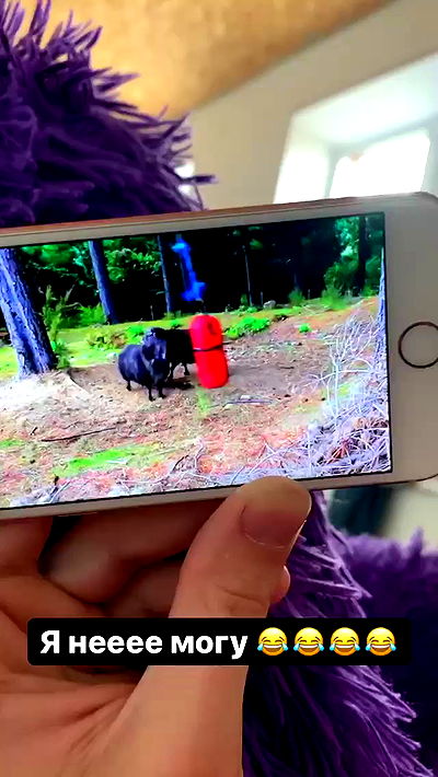 nyityam nyityam archive video