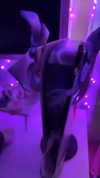 eellieebby Altpins Profile Picture
