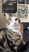 jahia_brown Altpins Profile Picture