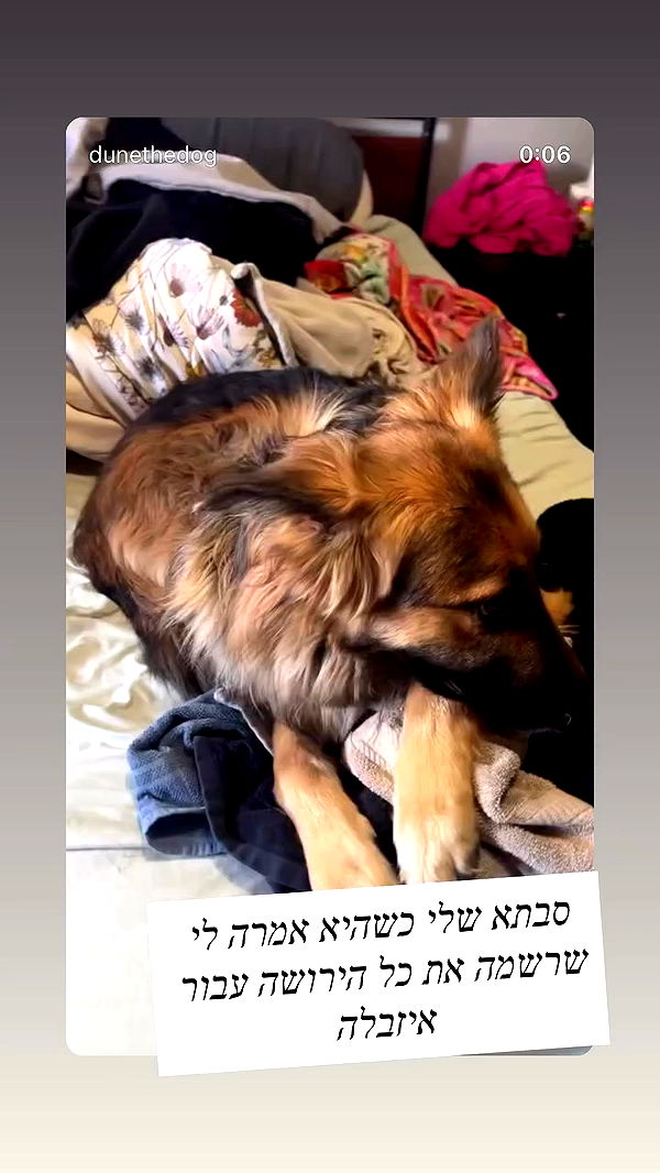 emily_new2 archive video preview