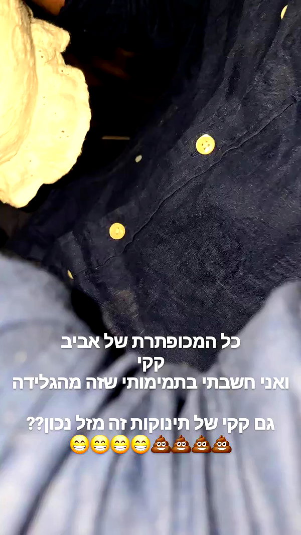barzomer archive video preview