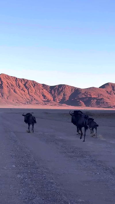 taylor.creeden taylor.creeden archive video