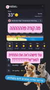 filmhouse.israel Altpins Profile Picture