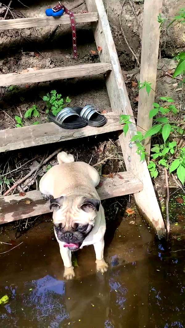 nyityam archive video preview