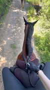 adelaidepalii Altpins Profile Picture