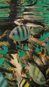 ratusfy_ Altpins Profile Picture