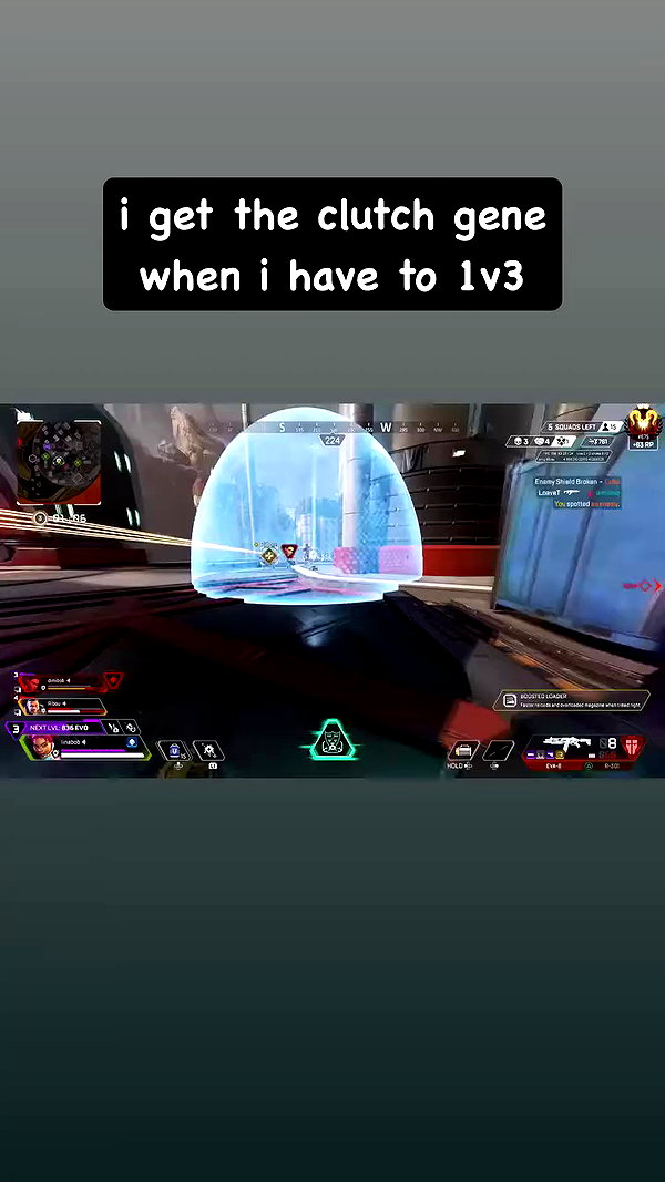 dracuina archive video preview