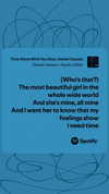 shai_landau_ Altpins Profile Picture