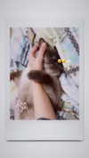 lissi77 Altpins Profile Picture