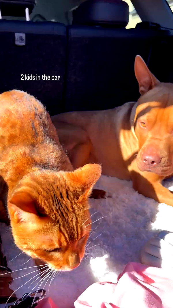 olivia.mathers archive video preview
