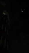 tiny.eviluv Altpins Profile Picture